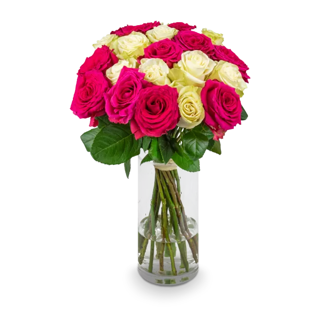 Bouquet of pink and white roses
